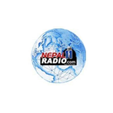 Nepal11 Radio logo