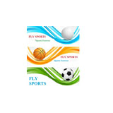 Fly Sports logo