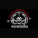 piratenteamsonido logo