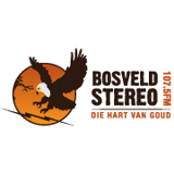 Bosveld Stereo logo