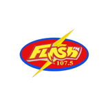 Flash FM 107.5 (The Best) logo