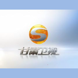甘肃卫视伴音 logo