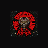 The AuDioAsYLuM logo