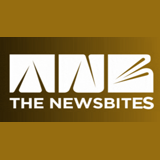 The Newsbites logo