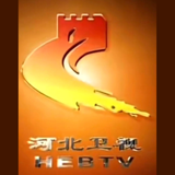 河北卫视伴音 logo