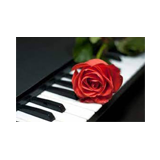 Radio Romántica 121 logo