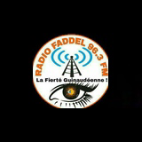 Radio FADDEL 96.3 logo