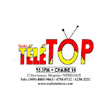 Radio Tele Top 95.1 FM logo