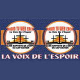 RADIO TV WEB EBEC logo