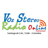 Radio Voz Stereo Internacional logo