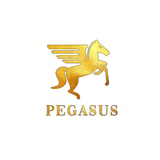 Pegasus Radio - Denmark logo