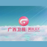 广西卫视伴音 logo