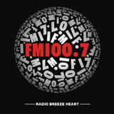 咸阳综合广播 logo