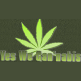 Yes We Cannabis logo