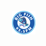 Big Fish logo