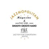 Smooth Groove Radio - The Vibe logo