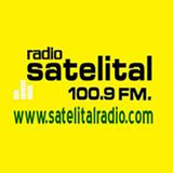 Radio Satelital logo