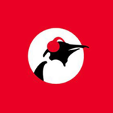 Pinguin Radio logo