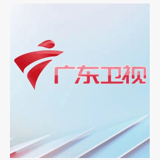 广东卫视伴音 logo