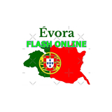 Evora Flash Online logo
