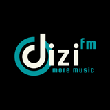 DiZi FM logo