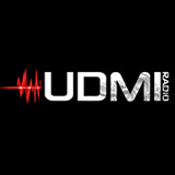 UDMI logo
