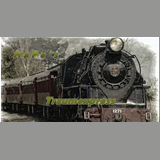 HAPES-TRAUMEXPRESS logo