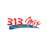313TheMix logo
