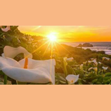 Radio dinamismo logo