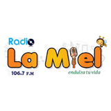 Radio La Miel logo