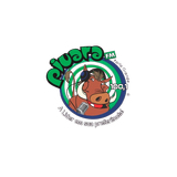 Piuara FM 100.1 logo