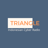 Triangle logo