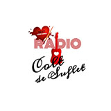 Radio Colt De Suflet logo