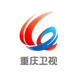 重庆卫视伴音 logo