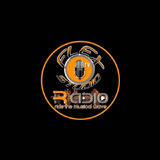 Flex Studio Radio & Tv logo