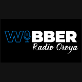 WIBBER logo