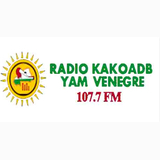 RADIO VENEGRE logo