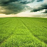 呼伦贝尔汉语广播 logo