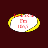 Radio Raul FM logo