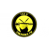 Dwanwa FM 102.9 logo