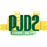 PJD2 Voice of Sint Maarten logo