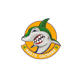 Radio Gozdawa logo