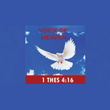Voice Of Heaven logo