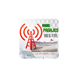 Radio Pasajes Yunchara logo