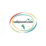 Radiosesel logo