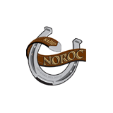 Radio Noroc logo
