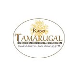 Radio Tamarugal logo