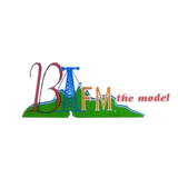 Bfm The Model logo