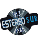 Estereo Sur 91.3 FM logo