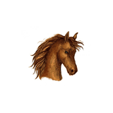 Fiesta Norteña Radio logo